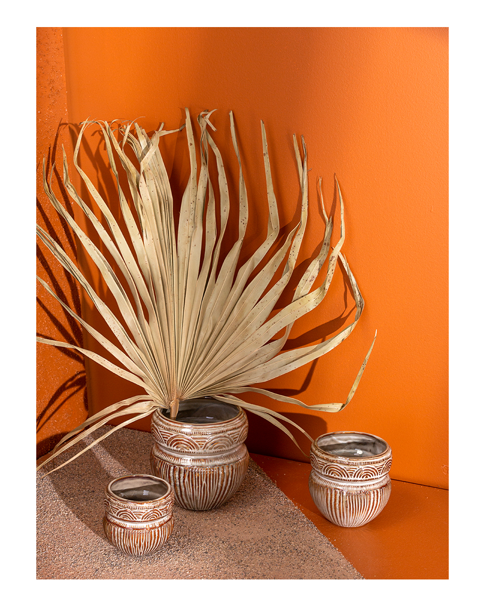 Shop Langston Pot