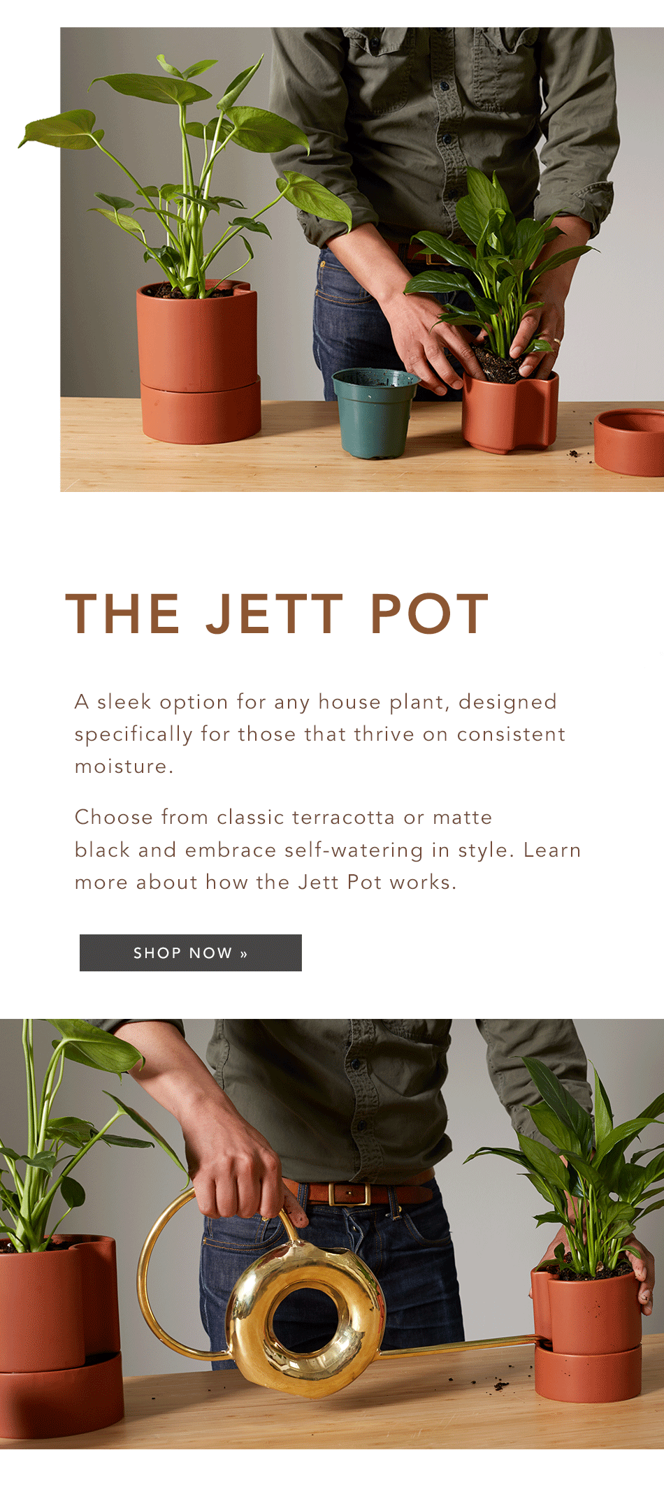 Shop the Jett Pot Shop the Jett Pot