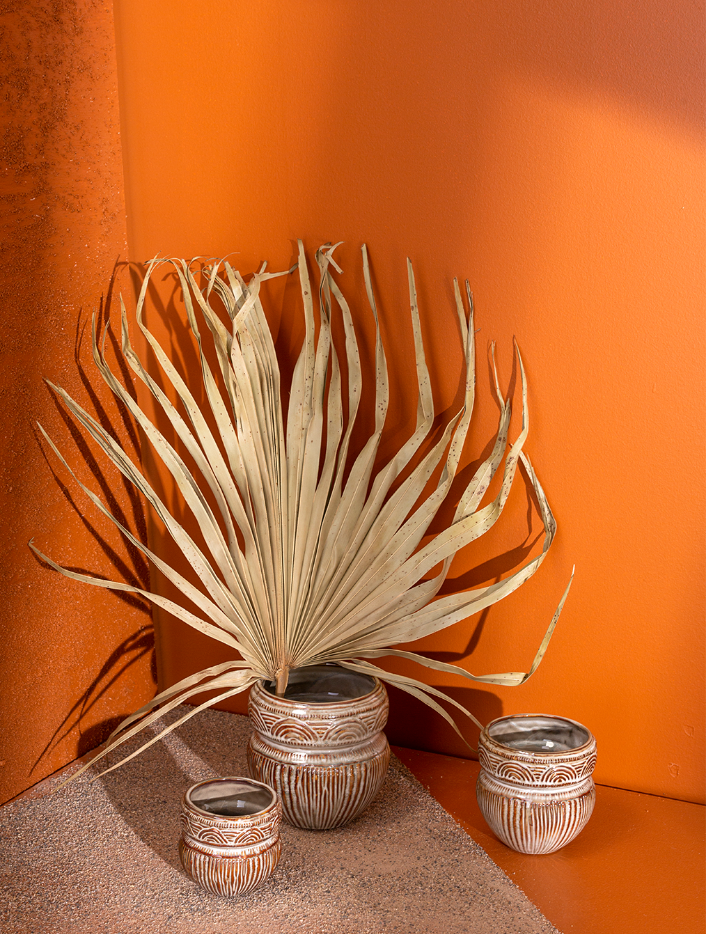 Shop Langston Pot