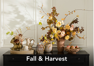 Fall and Harvest Decor