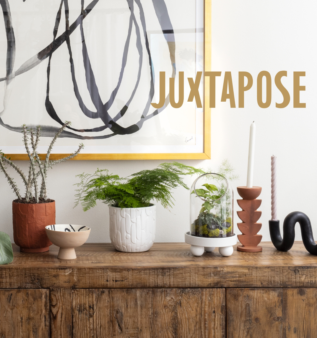 Shop Juxtapose