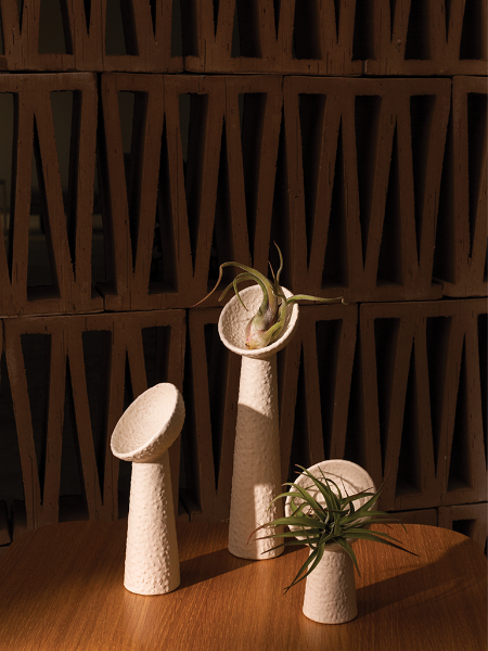 Shop Iggy Tillandsia Holder