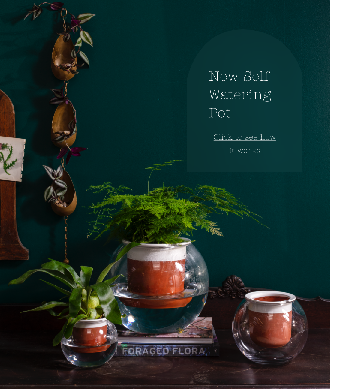 Shop the Davies Planter Shop the Davies Planter